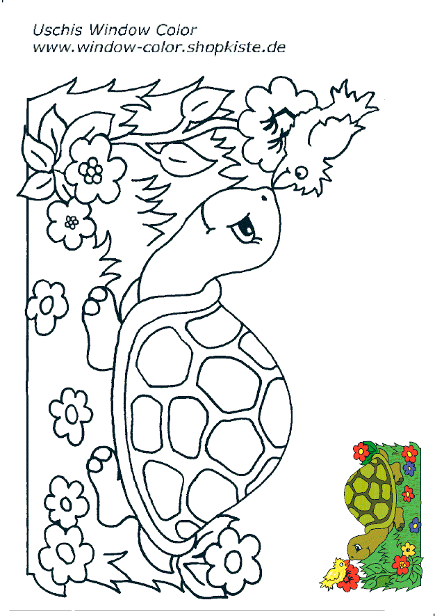 window color malvorlagen schildkröte  batavusprorace