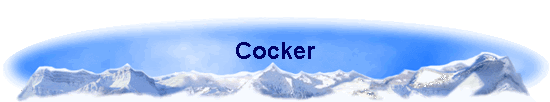 Cocker