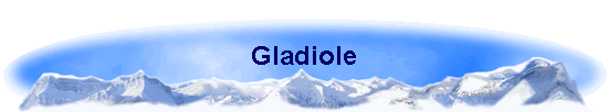 Gladiole